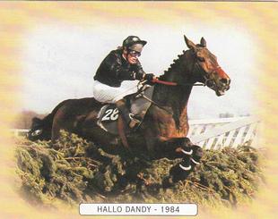 2000 GDS Cards Grand National Winners 1976-1995 #1984 Hallo Dandy Front
